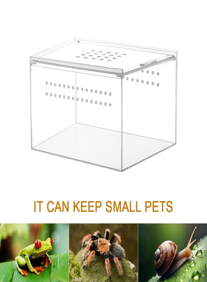 NANEEZOO Acrylic Reptile Breeding Box, 5x4x3 Inch Nano Flat/Long Enclosure Transparent Reptile Breeding Box Terrarium Cage Tank for Tarantula Scorpion Sling Isopods Invertebrates Insect Mantis - Image 2